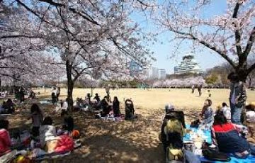 Family Getaway 9 Days 8 Nights Hakone Offbeat Tour Package