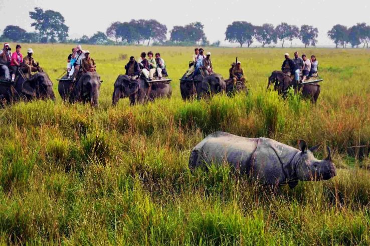 6 Days 5 Nights Guwahati to Kaziranga River Holiday Package