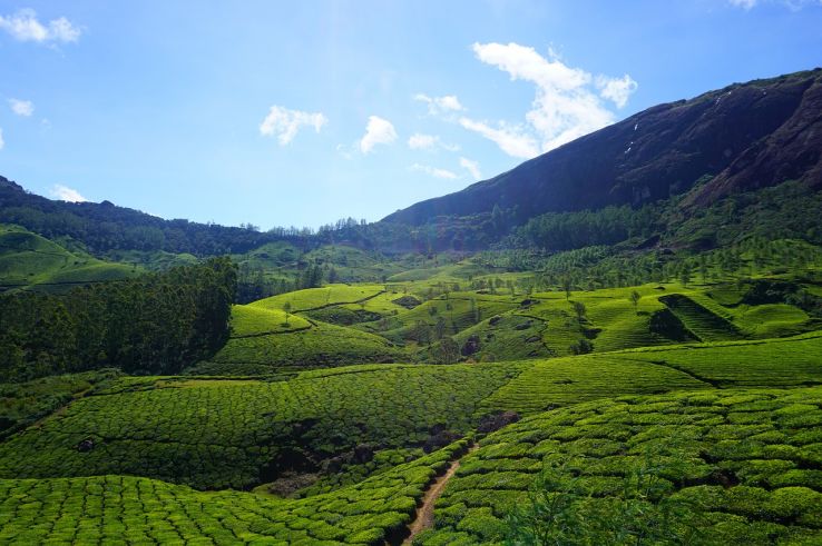 Experience Kerala Tour Package for 2 Days Experience Kerala Tour Package for 2 Days