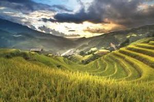 5 Days 4 Nights gangtok Festivals Vacation Package by Heaven of Holiday