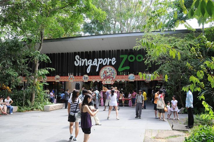 Singapore Tour Package for 3 Days