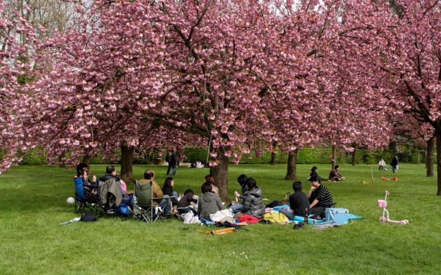 Ecstatic 3 Days Tokyo Holiday Package Ecstatic 3 Days Tokyo Holiday Package