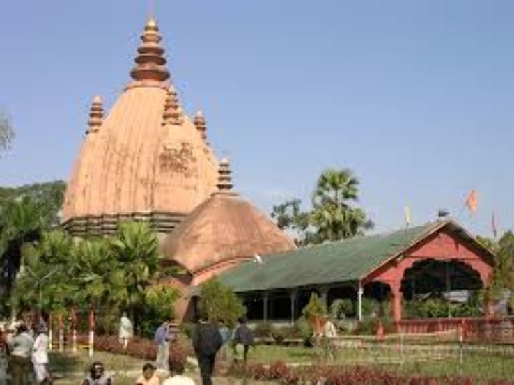 Bengal Natural History Museum Trip Packages Bengal Natural History Museum Trip Packages