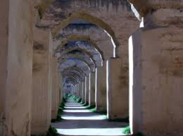 Royal Stables Trip Packages